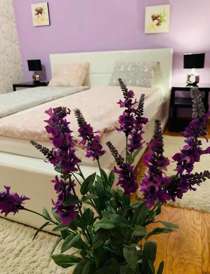 אורדאה Casa Central Luxury מראה חיצוני תמונה